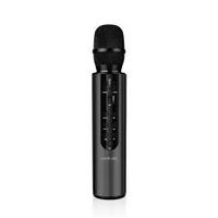 GREEN LION KARAOKE MICROPHONE OG 400G