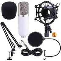 BM700 MICROPHONE (OG)