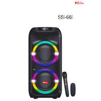 SWISS SOUND SPEAKER SS-66