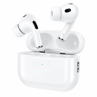 HOCO EW93 EARBUDS